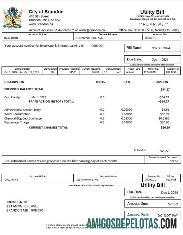 Em branco modelo de conta de serviços públicos da cidade de Brandon no Canadá em formatos Word e PDF